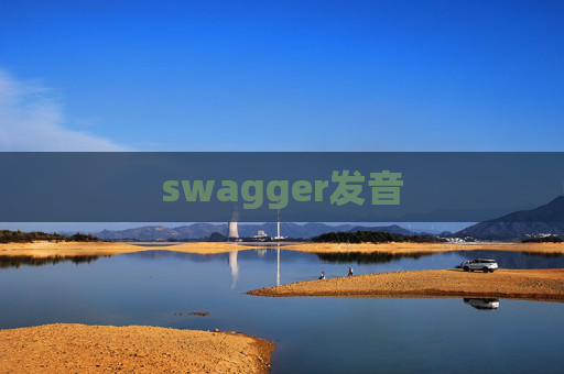 swagger发音