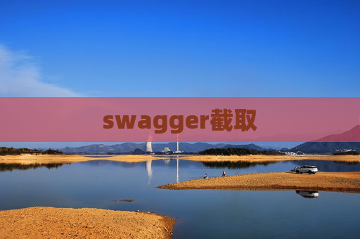 swagger截取